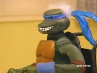 teenage mutant ninja turtles (robot chicken)